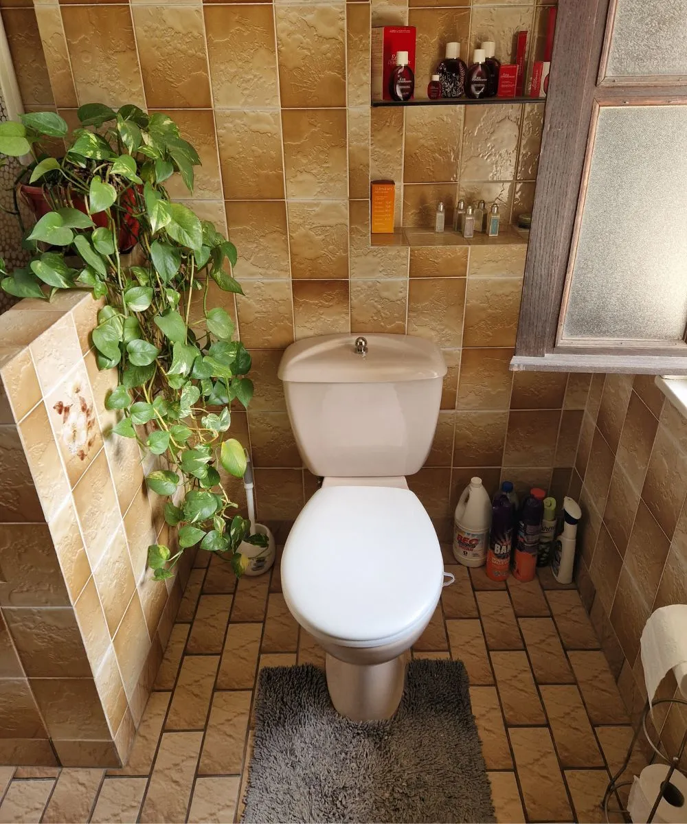 Remplacement de WC à Hyères la crau et Carqueiranne avec Express'eau plombier & assainissement 4 Remplacement de WC à Hyères la crau et Carqueiranne avec Express'eau plombier & assainissement 4